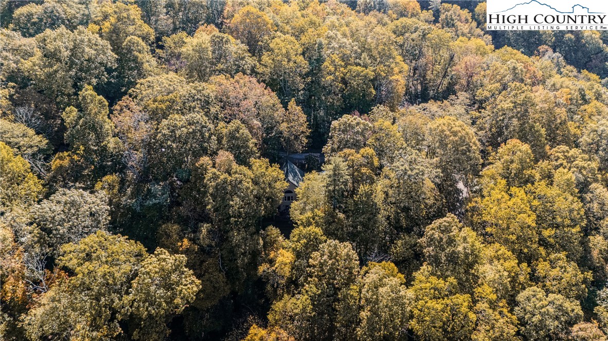 888 Benjamin Drive Boone, NC 28607 - Photo 36 of 38 a view of outdoor space and covered with trees