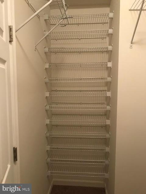 1231 Steed Street Ranson, WV 25438 - Photo 14 of 18 Tons of Storage in Master Closet.