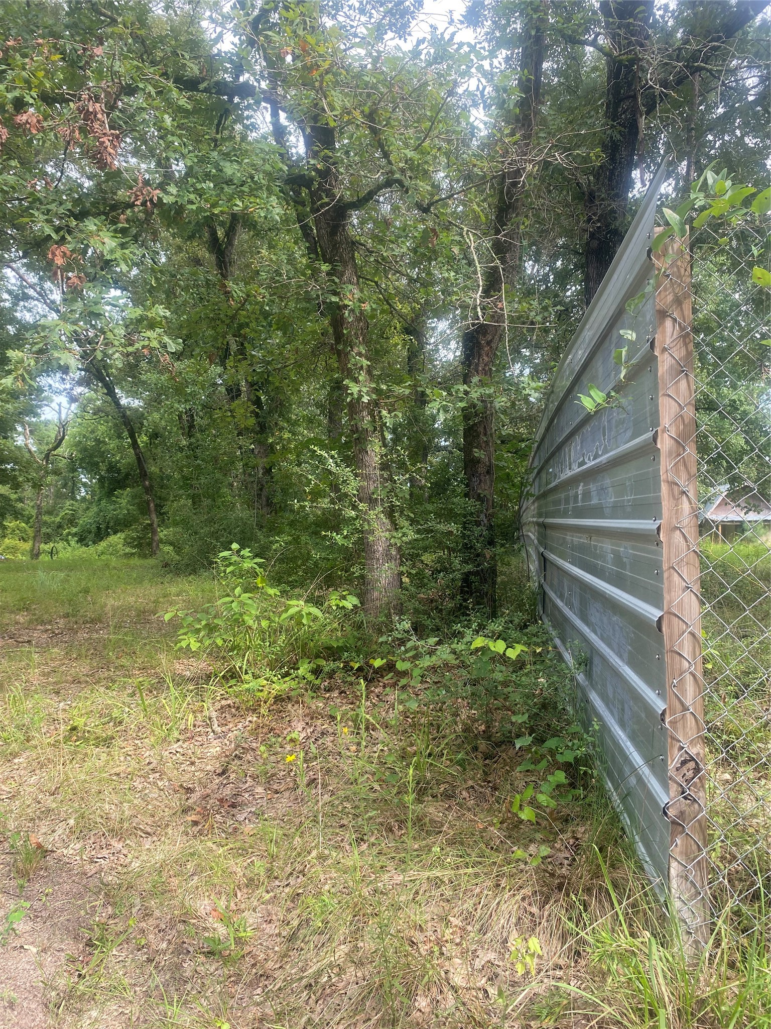 137 Camp Road Trinity, TX 75862 - Photo 6 of 12 a view of a yard with plants and a large tree