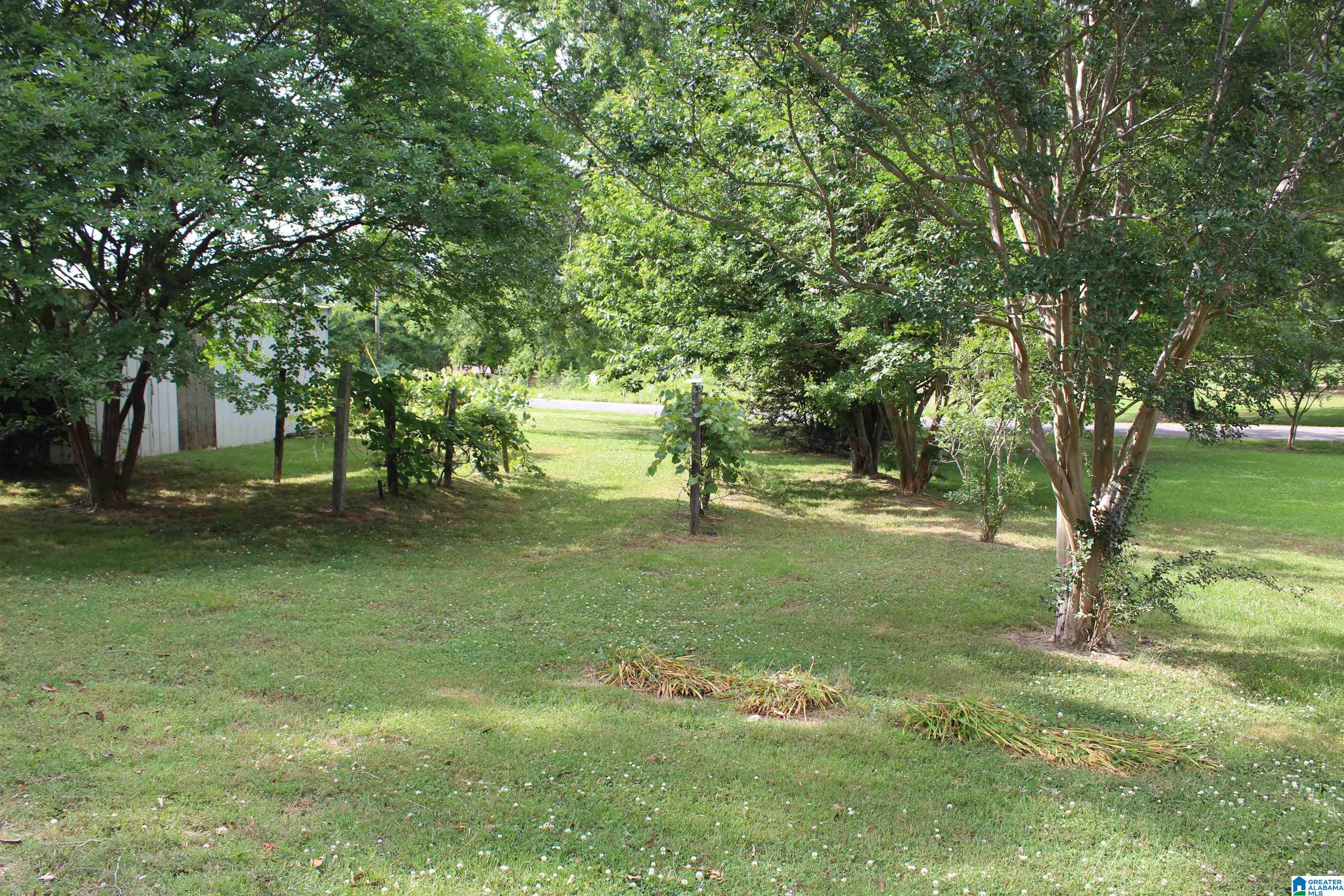 4219 Eva Road Eva, AL 35621 - Photo 18 of 50
