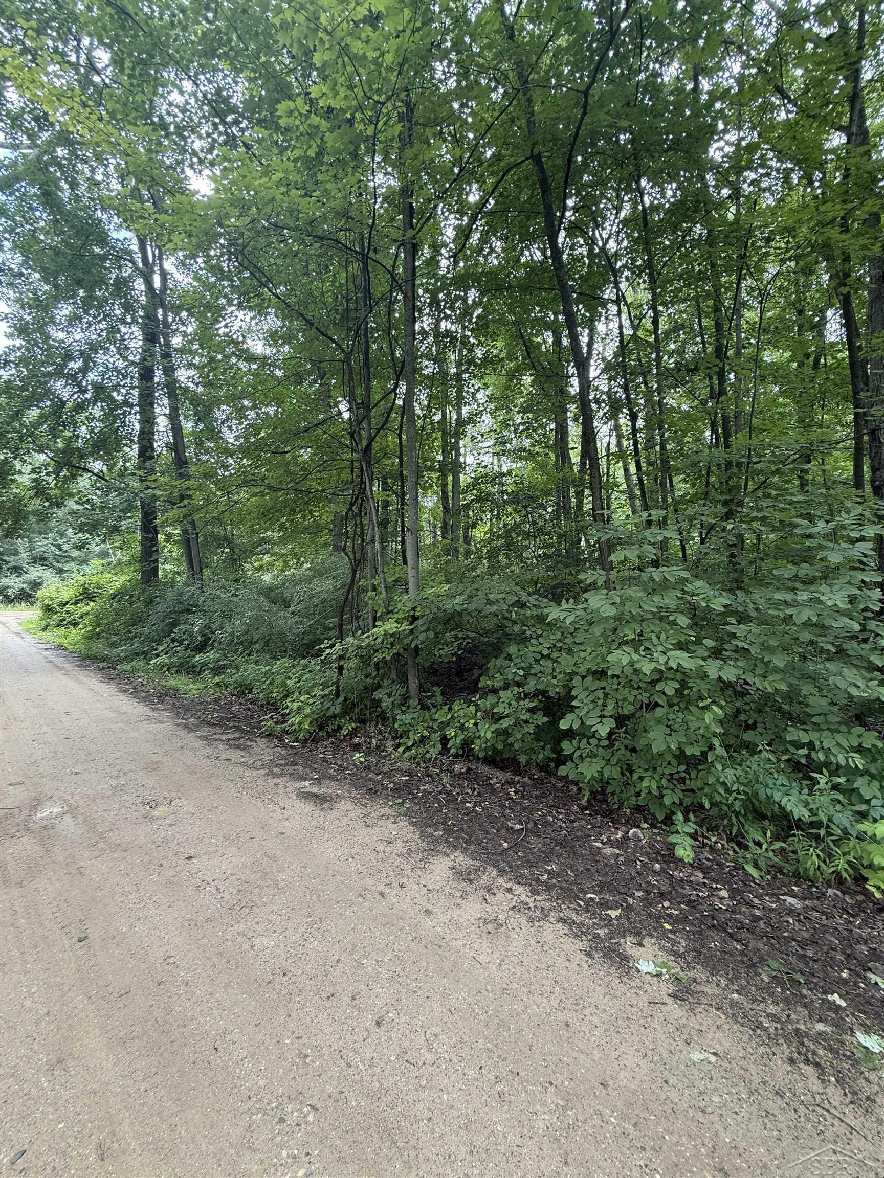 4477 Forest Road Harrison, MI 48625 - Photo 3 of 10