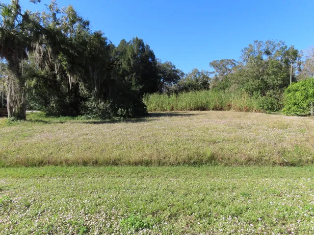 a view of outdoor space and yard