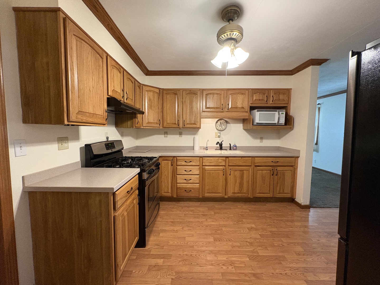 305 Scott Avenue Rochelle, IL 61068 - Photo 7 of 25 Gallery Image 7