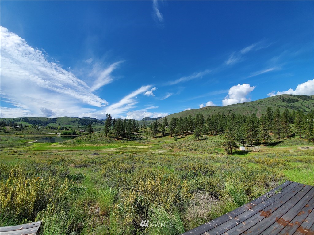 17 Star Flower Road Winthrop, WA 98862 - Photo 11 of 20 Gallery Image 11