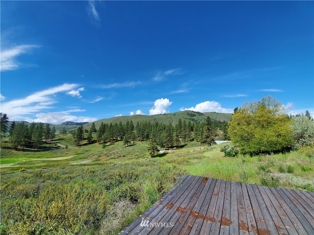 17 Star Flower Road Winthrop, WA 98862 - Photo 12 of 20 Gallery Image 12