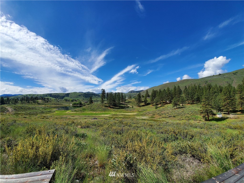 17 Star Flower Road Winthrop, WA 98862 - Photo 16 of 20 Gallery Image 16