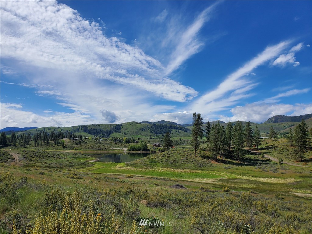 17 Star Flower Road Winthrop, WA 98862 - Photo 17 of 20 Gallery Image 17