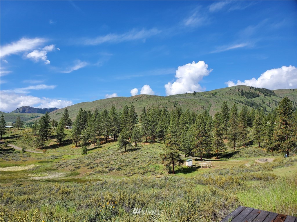 17 Star Flower Road Winthrop, WA 98862 - Photo 19 of 20 Gallery Image 19
