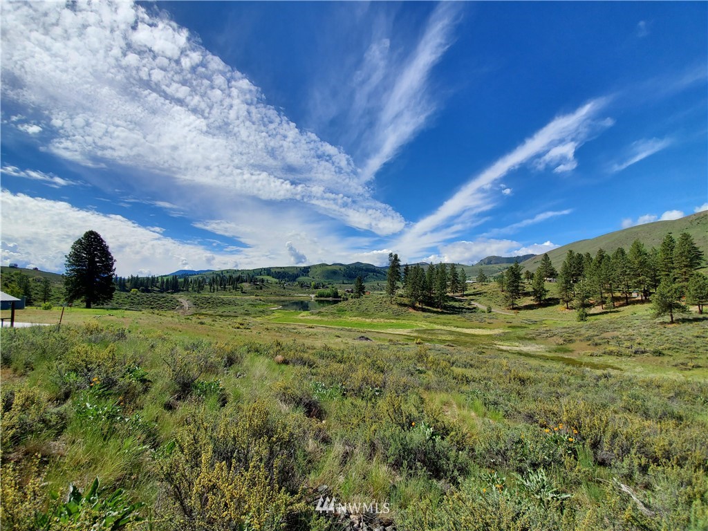 17 Star Flower Road Winthrop, WA 98862 - Photo 20 of 20 Gallery Image 20