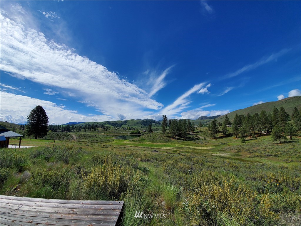 17 Star Flower Road Winthrop, WA 98862 - Photo 10 of 20 Gallery Image 10