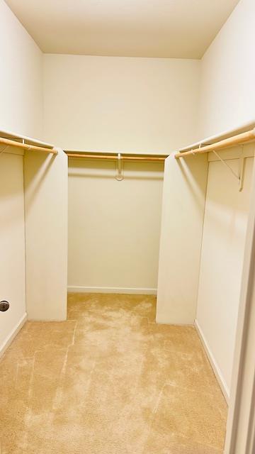 2337 Lonnie Beck Way Stockton, CA 95209 - Photo 13 of 18 Generously Sized Primary Bedroom Closet