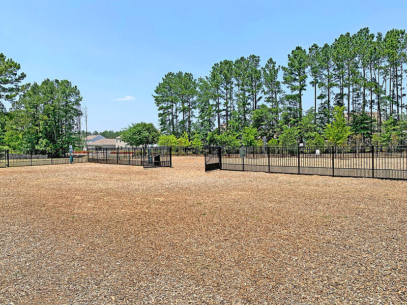 612 Wayton Circle Moncks Corner, SC 29461 - Photo 31 of 35 IMG_0836-copy