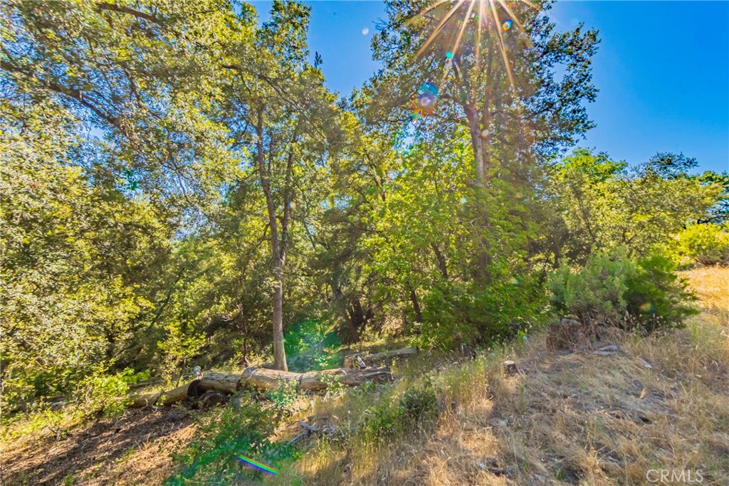 0 3 Springs Road Oakhurst, CA 93644 - Photo 9 of 20