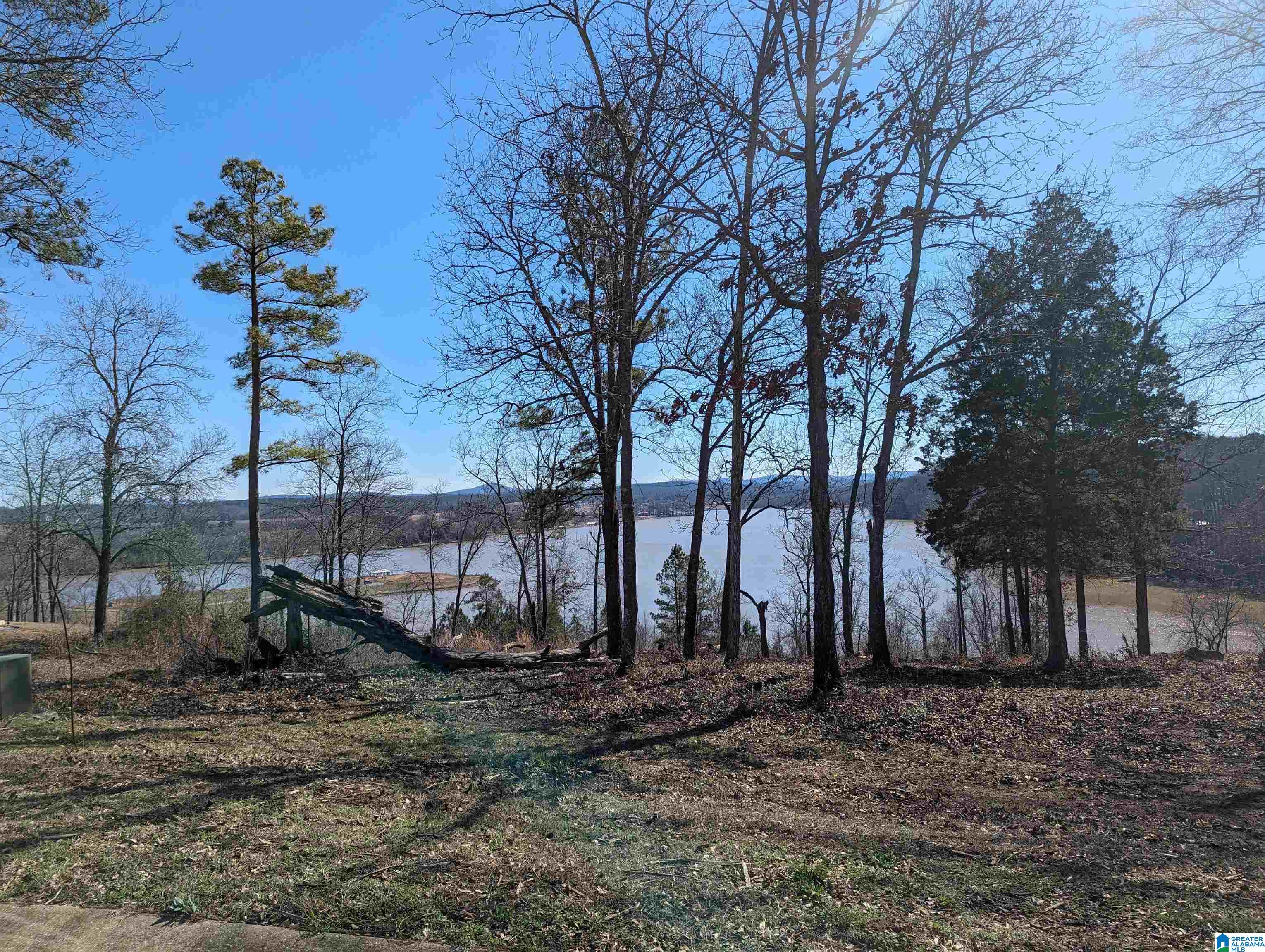0 Overlook Ridge Lincoln, AL 35096 - Photo 33 of 33
