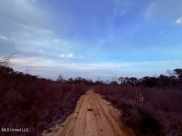 $79,000 | Morgantown Road, Foxworth, MS 39483