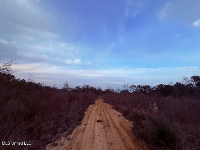 Morgantown Road Foxworth, MS 39483 - Photo 11 of 26 IMG_2178