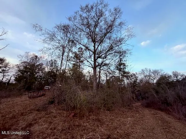 $79,000 | Morgantown Road, Foxworth, MS 39483