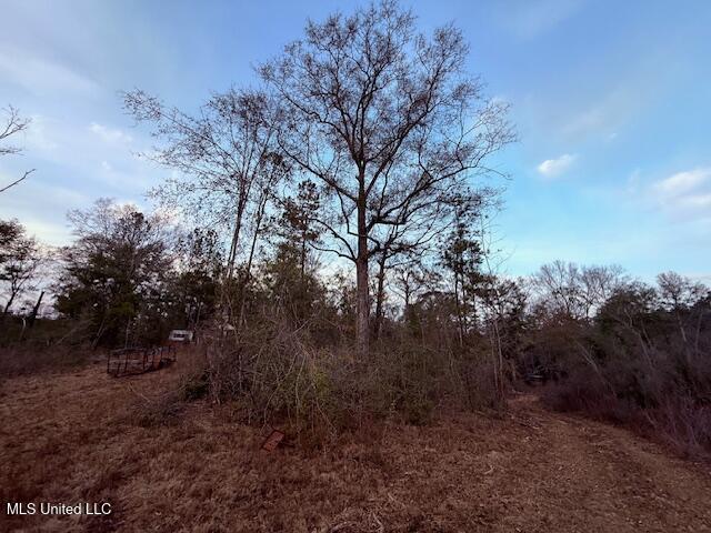 Morgantown Road Foxworth, MS 39483 - Photo 12 of 26 IMG_2180