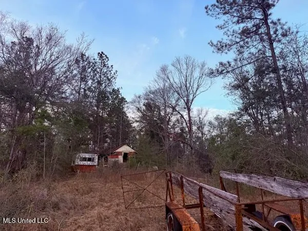 $79,000 | Morgantown Road, Foxworth, MS 39483