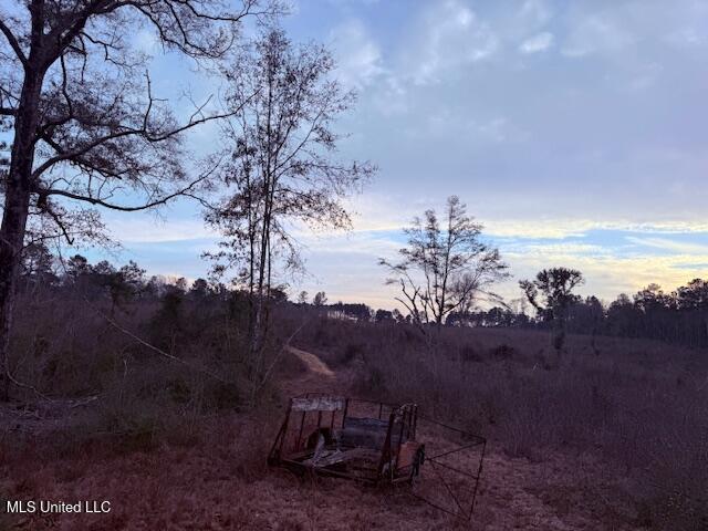 Morgantown Road Foxworth, MS 39483 - Photo 14 of 26 IMG_2182