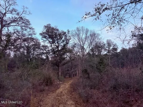 $79,000 | Morgantown Road, Foxworth, MS 39483