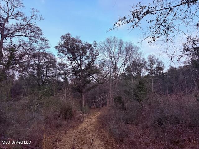 Morgantown Road Foxworth, MS 39483 - Photo 15 of 26 IMG_2183