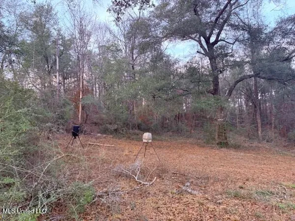 $79,000 | Morgantown Road, Foxworth, MS 39483