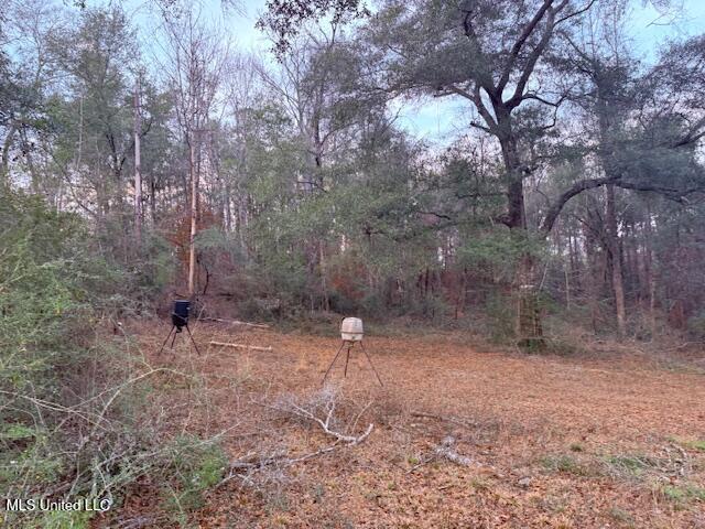 Morgantown Road Foxworth, MS 39483 - Photo 16 of 26 IMG_2184