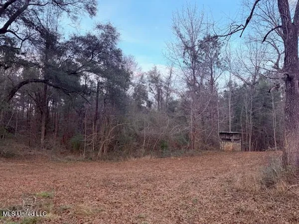 $79,000 | Morgantown Road, Foxworth, MS 39483