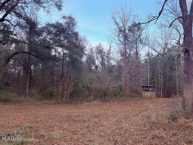 Morgantown Road Foxworth, MS 39483 - Photo 17 of 26 IMG_2185