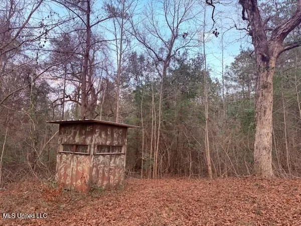 $79,000 | Morgantown Road, Foxworth, MS 39483