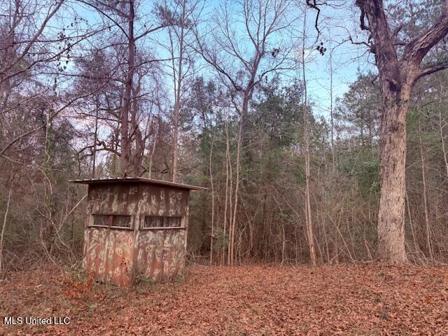 Morgantown Road Foxworth, MS 39483 - Photo 18 of 26 IMG_2186