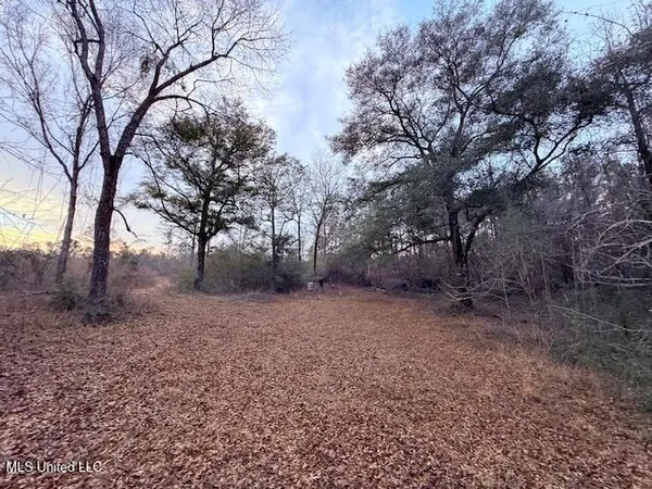 $79,000 | Morgantown Road, Foxworth, MS 39483