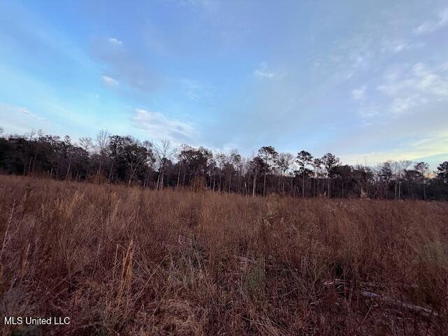 Morgantown Road Foxworth, MS 39483 - Photo 20 of 26 IMG_2188