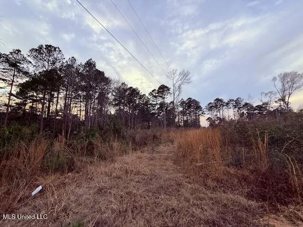 $79,000 | Morgantown Road, Foxworth, MS 39483