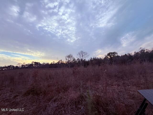 Morgantown Road Foxworth, MS 39483 - Photo 21 of 26 IMG_2189