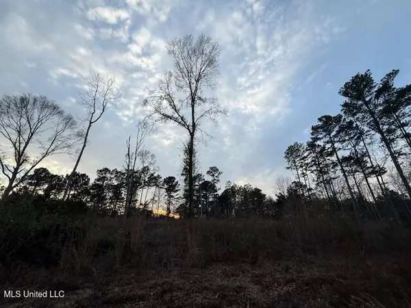 $79,000 | Morgantown Road, Foxworth, MS 39483