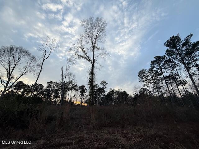 Morgantown Road Foxworth, MS 39483 - Photo 22 of 26 IMG_2190