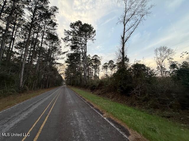 Morgantown Road Foxworth, MS 39483 - Photo 23 of 26 IMG_2191