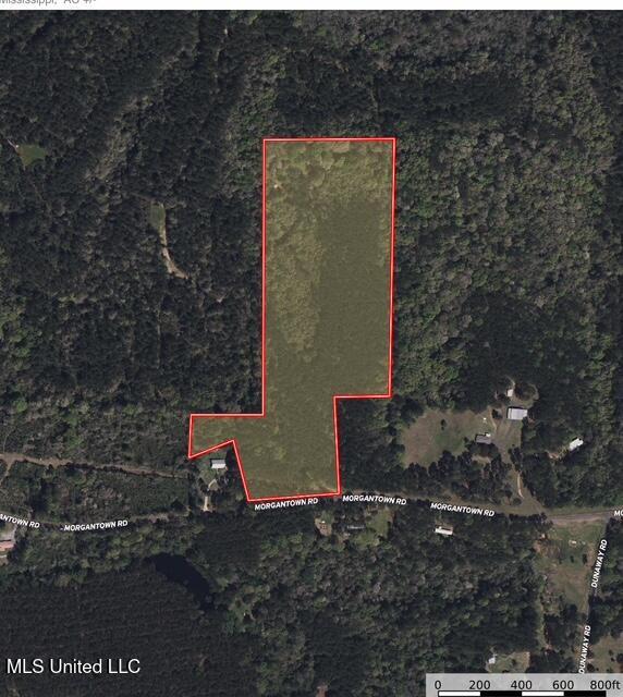 Morgantown Road Foxworth, MS 39483 - Photo 24 of 26 IMG_2219