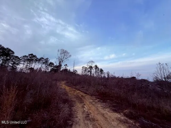 $79,000 | Morgantown Road, Foxworth, MS 39483