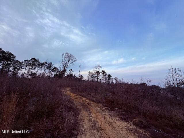 Morgantown Road Foxworth, MS 39483 - Photo 3 of 26 IMG_2170