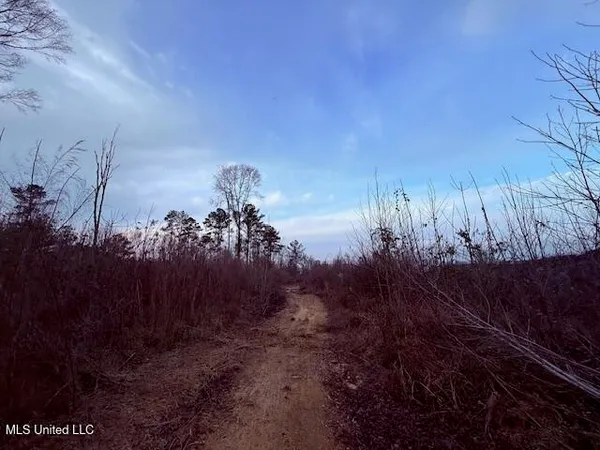 $79,000 | Morgantown Road, Foxworth, MS 39483