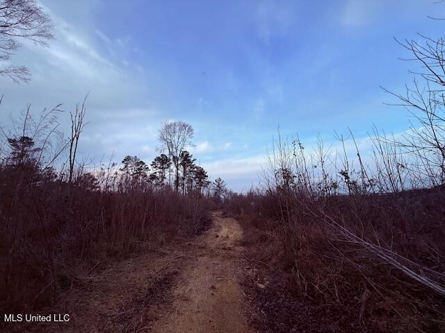 Morgantown Road Foxworth, MS 39483 - Photo 4 of 26 IMG_2171