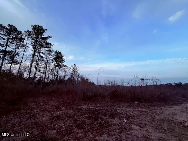 $79,000 | Morgantown Road, Foxworth, MS 39483