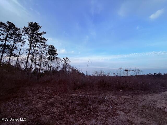 Morgantown Road Foxworth, MS 39483 - Photo 5 of 26 IMG_2172