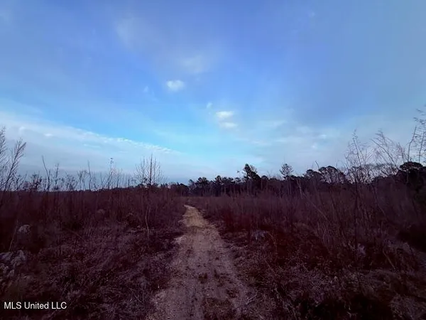 $79,000 | Morgantown Road, Foxworth, MS 39483