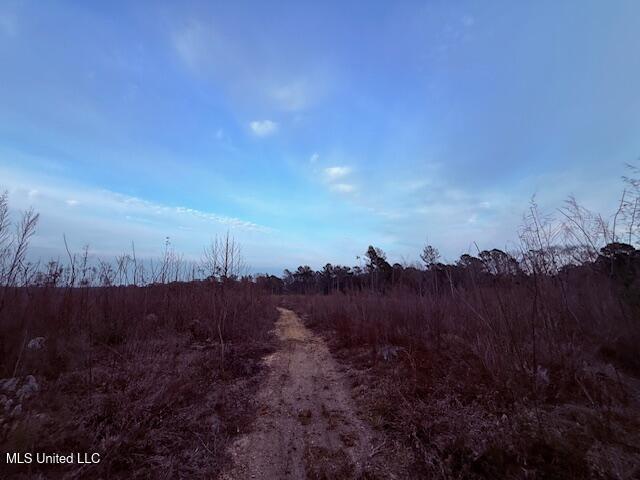 Morgantown Road Foxworth, MS 39483 - Photo 6 of 26 IMG_2173