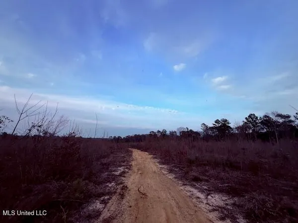 $79,000 | Morgantown Road, Foxworth, MS 39483