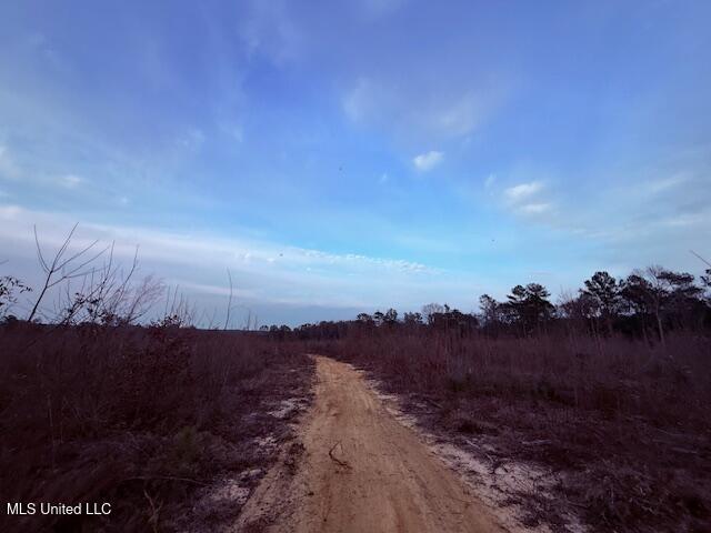 Morgantown Road Foxworth, MS 39483 - Photo 7 of 26 IMG_2174